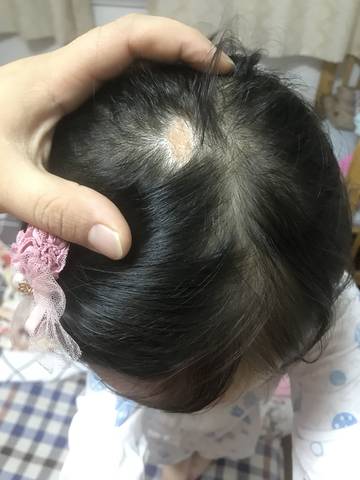 journal_insert_pic_1101774159