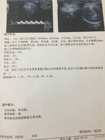journal_insert_pic_1102314169