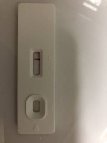 journal_insert_pic_1102357764