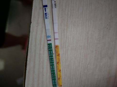 journal_insert_pic_1102383254