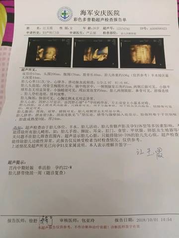 journal_insert_pic_1102831225
