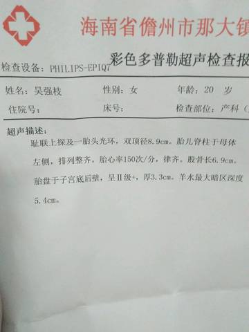 journal_insert_pic_1102826624