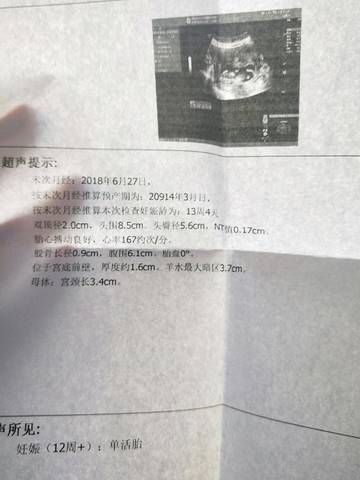 journal_insert_pic_1102535252