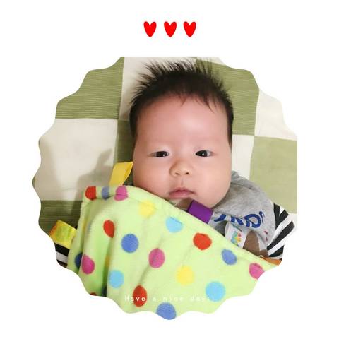 journal_insert_pic_1103483992