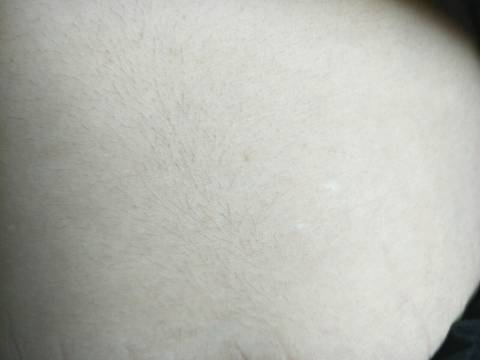 journal_insert_pic_1103162428