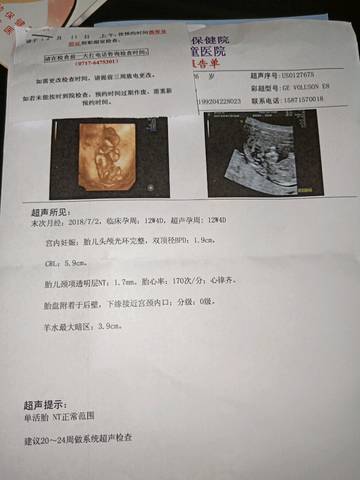 journal_insert_pic_1103350384