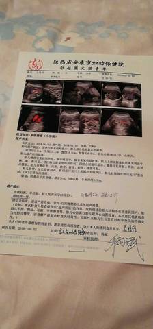 journal_insert_pic_1104054620