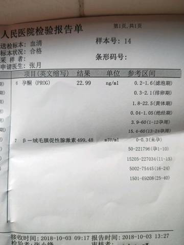 journal_insert_pic_1104000281