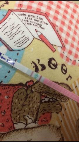 journal_insert_pic_1104903361