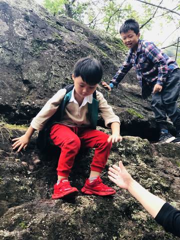 journal_insert_pic_1105374321