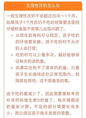 journal_insert_pic_1105613304