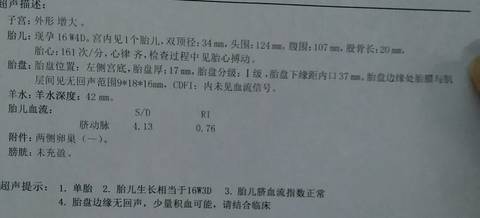 journal_insert_pic_1105169760