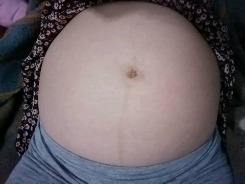 journal_insert_pic_1106232888