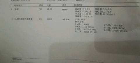 journal_insert_pic_1106314072