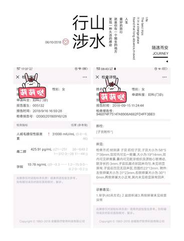 journal_insert_pic_1106417667