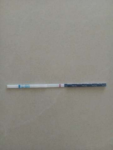 journal_insert_pic_1106694937