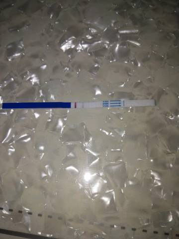 journal_insert_pic_1106775450