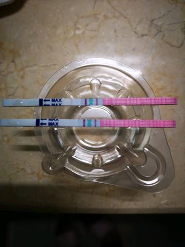 journal_insert_pic_1107149122