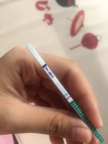 journal_insert_pic_1106922055