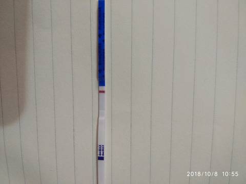 journal_insert_pic_1107650737