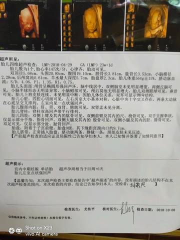 journal_insert_pic_1108330978