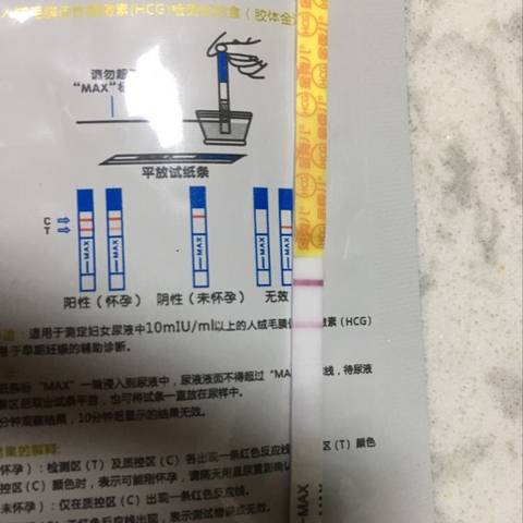 journal_insert_pic_1108312784
