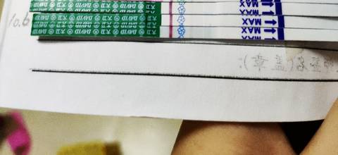 journal_insert_pic_1108301736
