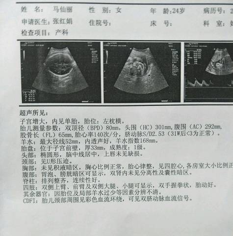 journal_insert_pic_1108949225