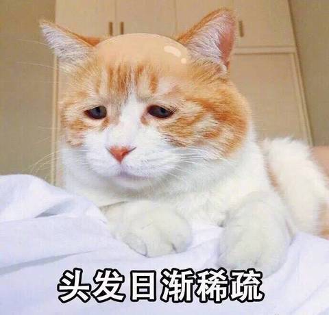 journal_insert_pic_1109454968