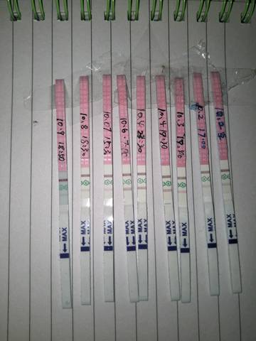 journal_insert_pic_1109276081