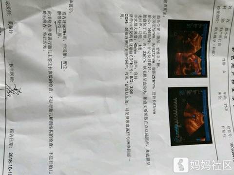 journal_insert_pic_1109163601