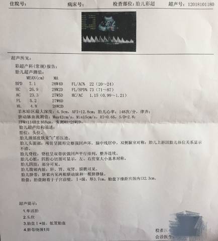 journal_insert_pic_1109811363