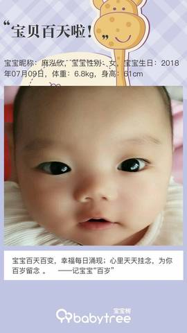journal_insert_pic_1110223924