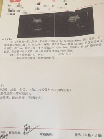 journal_insert_pic_1110703596