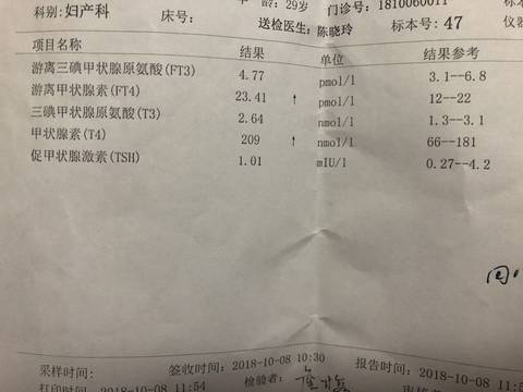 journal_insert_pic_1110242320