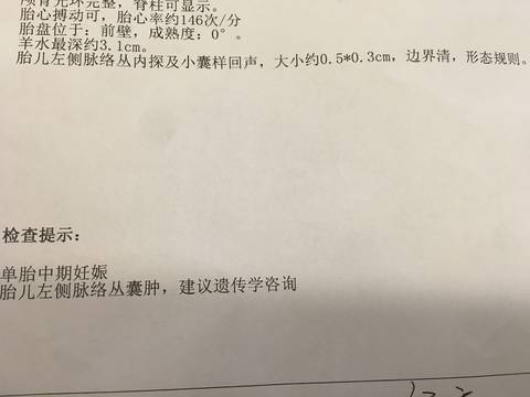 journal_insert_pic_1110454857