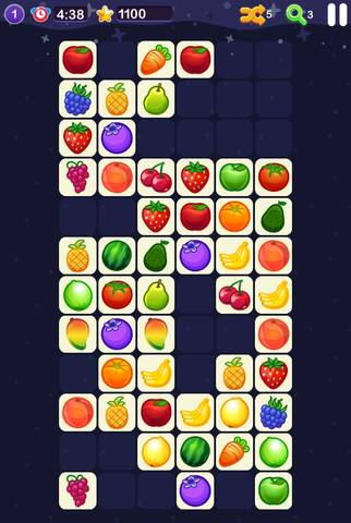 journal_insert_pic_1110316834