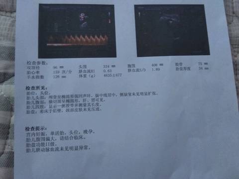 journal_insert_pic_1111058541