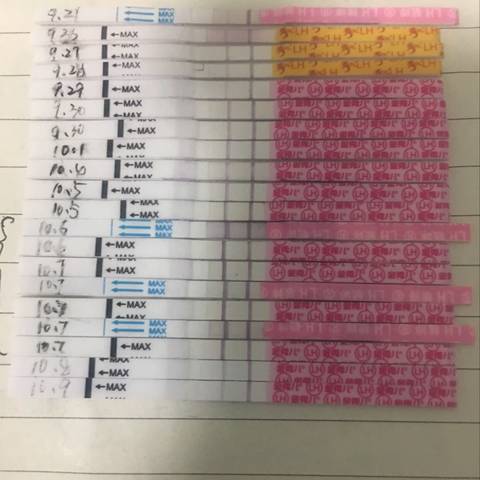 journal_insert_pic_1111264113