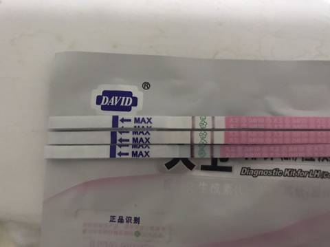 journal_insert_pic_1111154150