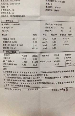 journal_insert_pic_1111124773