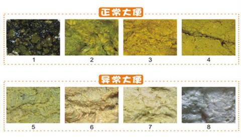 journal_insert_pic_1112078052