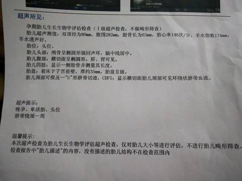 journal_insert_pic_1113043025