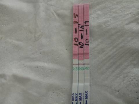 journal_insert_pic_1113358606