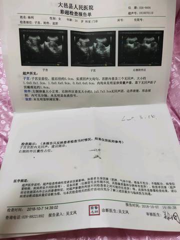 journal_insert_pic_1113621447