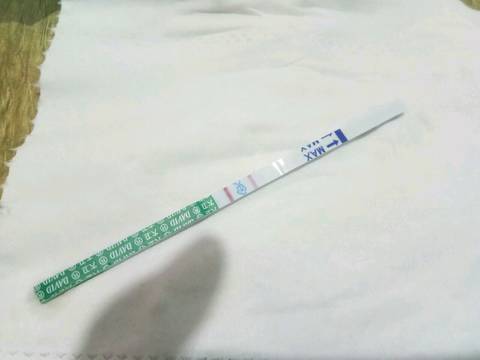 journal_insert_pic_1113349708