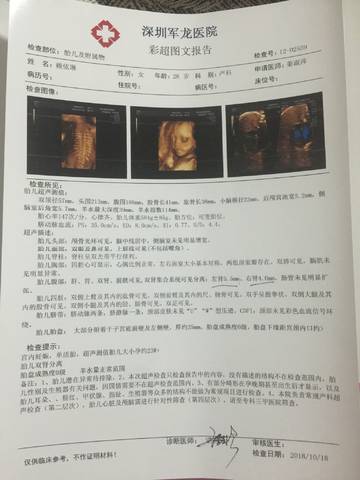 journal_insert_pic_1114315566