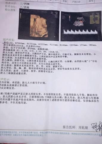 journal_insert_pic_1114759587