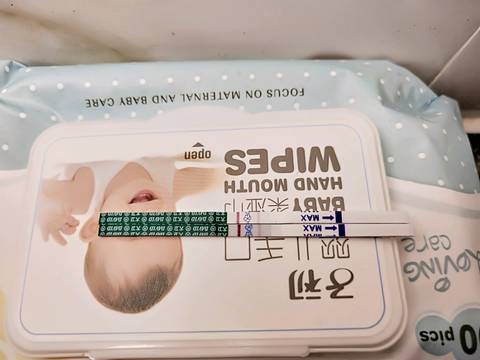 journal_insert_pic_1114966563