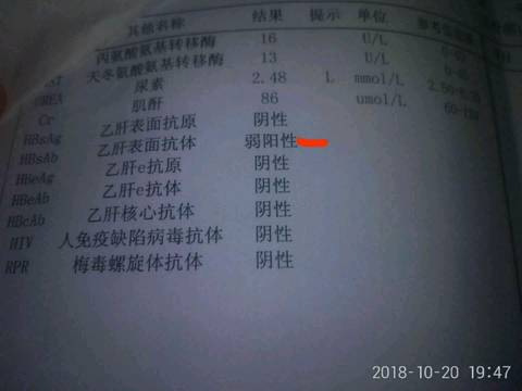 journal_insert_pic_1115259316
